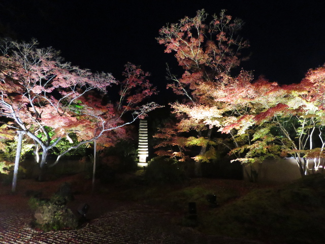 松島円通院の紅葉ライトアップ（石庭２）